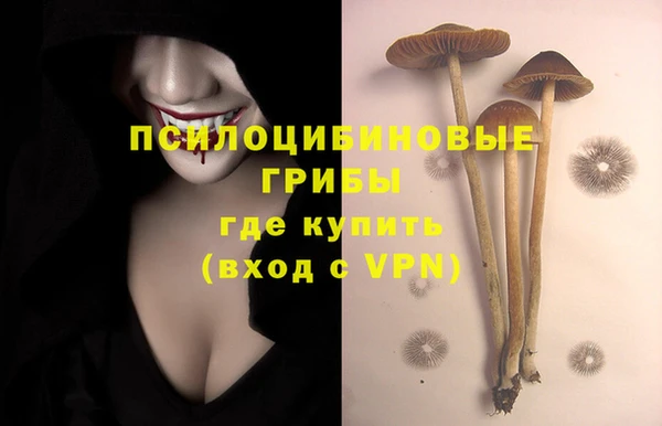 трава Алзамай