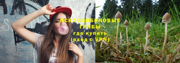 трава Алзамай