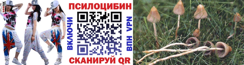 даркнет сайт  kraken зеркало  Галлюциногенные грибы MAGIC MUSHROOMS  Красноуфимск 